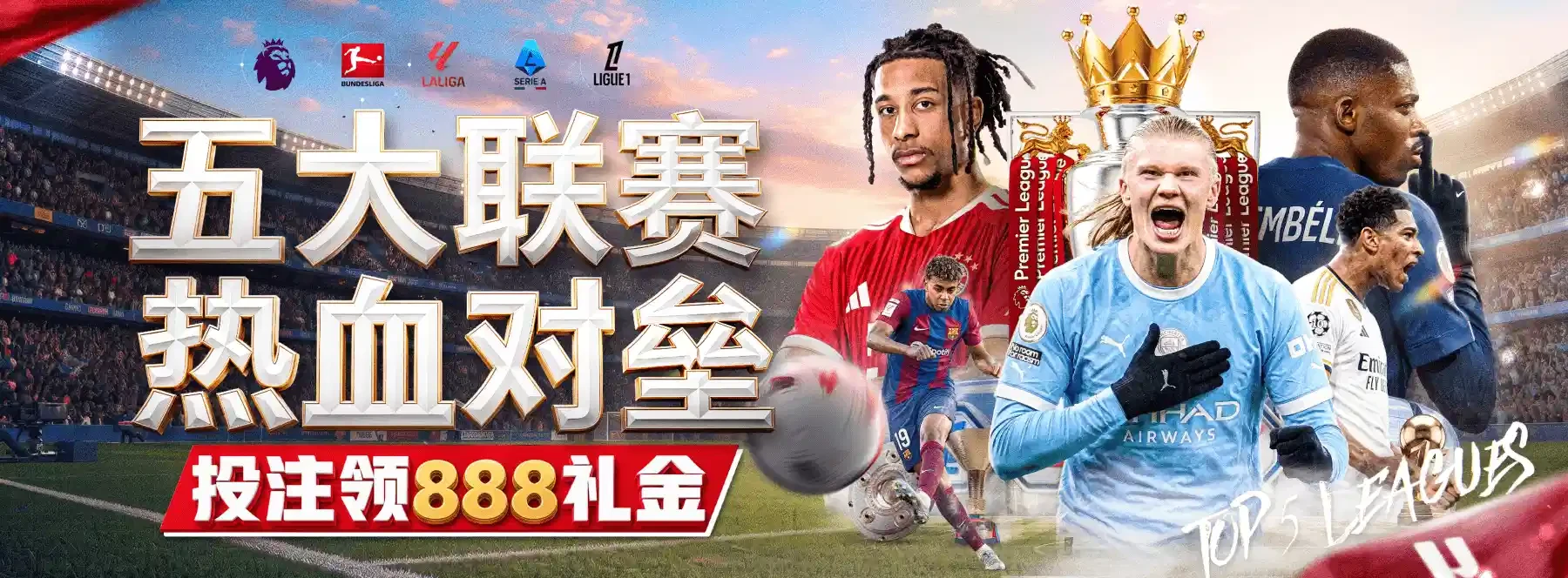 赛事现场与体育文化